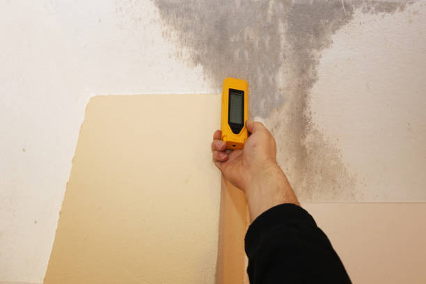 Best Airborne Mold Testing  in Princeton, NJ