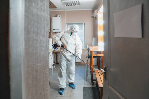 Best Comprehensive Air Testing for Mold Contaminants  in Princeton, NJ