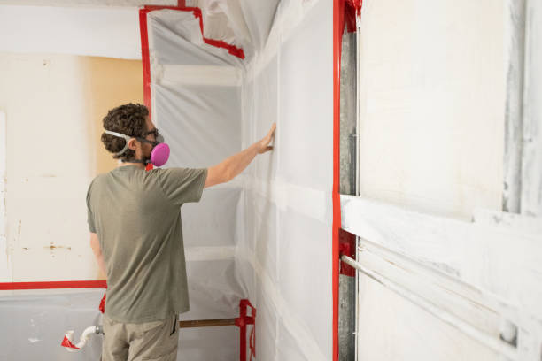 Best Basement Mold Removal  in Princeton, NJ