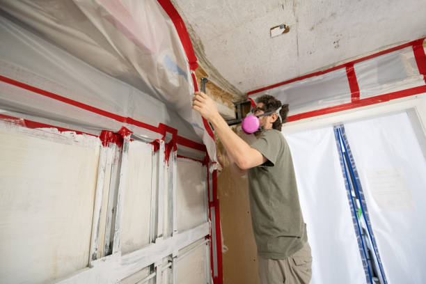 Best Residential Mold Inspection & Testing  in Princeton, NJ