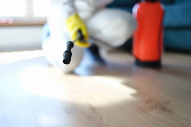  Princeton, NJ Mold Removal Pros