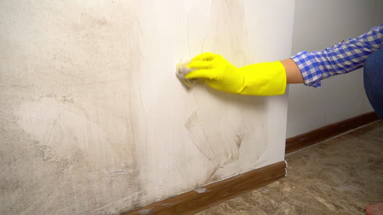 Best Water Damage & Mold Remediation  in Princeton, NJ