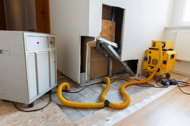 Biohazard Mold Removal in Princeton, NJ