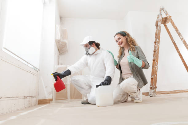 Best Emergency Mold Remediation  in Princeton, NJ