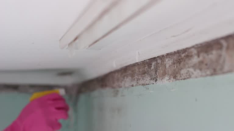 Best Indoor Air Quality Assessment  in Princeton, NJ
